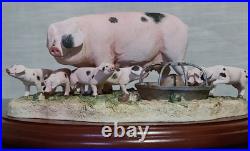 Border Fine Arts Never Satisfied Gloucester Old Spot Sow and Piglets B0442A Border Fine Arts Never Satisfied Gloucester Old Spot Sow and Piglets B0442A