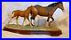 Border-Fine-Arts-New-Arrival-At-Harland-Grange-Clydesdale-Horse-Mare-Foal-Jh-11-01-lahj