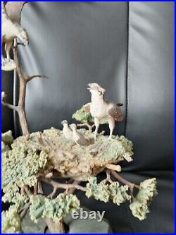 Border Fine Arts Osprey Family In Tree Ltd. Ed. 91/350 Ayres