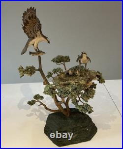 Border Fine Arts Ospreys. Limited Edition 55/450. Ray Ayers