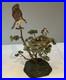 Border-Fine-Arts-Ospreys-Limited-Edition-55-450-Ray-Ayers-01-rd