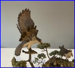 Border Fine Arts Ospreys. Limited Edition 55/450. Ray Ayers