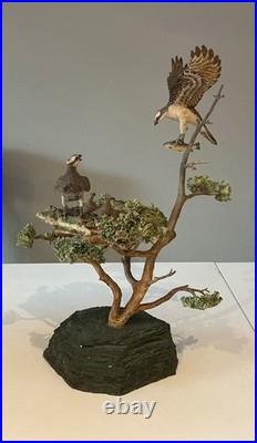 Border Fine Arts Ospreys. Limited Edition 55/450. Ray Ayers