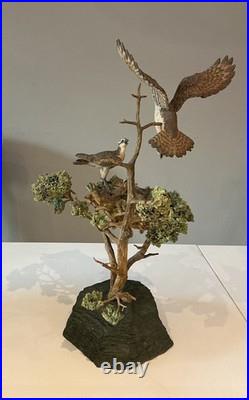 Border Fine Arts Ospreys. Limited Edition 55/450. Ray Ayers