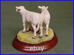 Border Fine Arts'Pair Of Charolais Claves' Figurine. 1997. BO272. 6 Wide. GC