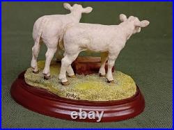 Border Fine Arts'Pair Of Charolais Claves' Figurine. 1997. BO272. 6 Wide. GC