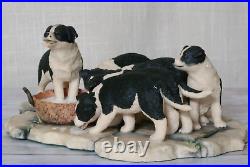 Border Fine Arts Pick of the Litter Model No. JH30 Rare Figurine by Ray Ayres Vgc