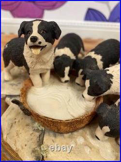 Border Fine Arts'Pick of the Litter' by Ray Ayres, 1988