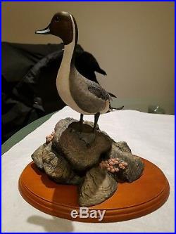 Border Fine Arts Pintail Duck Water Fowl Of The World Don Briddell A0478