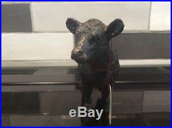Border Fine Arts Pottery Company. BLACK GALLOWAY Cow belted @