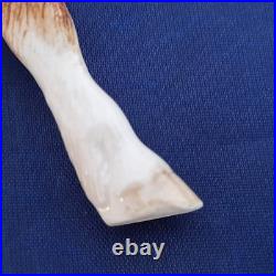 Border Fine Arts Pottery Company Thoroughbred Model Horse Figurine Ceramic Border Fine Arts Pottery Company Thoroughbred Model Horse Figurine Ceramic