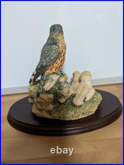 Border Fine Arts RB36. Merlin with Chicks. Great Condition. Plus Plinth. No Box