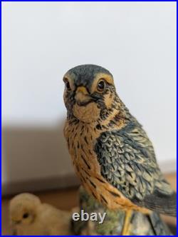 Border Fine Arts RB36. Merlin with Chicks. Great Condition. Plus Plinth. No Box Border Fine Arts RB36. Merlin with Chicks. Great Condition. Plus Plinth. No Box