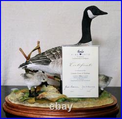 Border Fine Arts Rare Canada Goose and Goslings Limited Edition 126/500