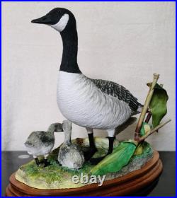 Border Fine Arts Rare Canada Goose and Goslings Limited Edition 126/500