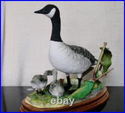 Border Fine Arts Rare Canada Goose and Goslings Limited Edition 126/500