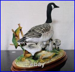 Border Fine Arts Rare Canada Goose and Goslings Limited Edition 126/500