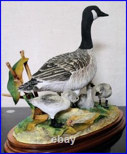 Border Fine Arts Rare Canada Goose and Goslings Limited Edition 126/500