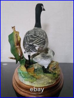 Border Fine Arts Rare Canada Goose and Goslings Limited Edition 126/500