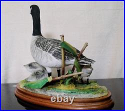 Border Fine Arts Rare Canada Goose and Goslings Limited Edition 126/500