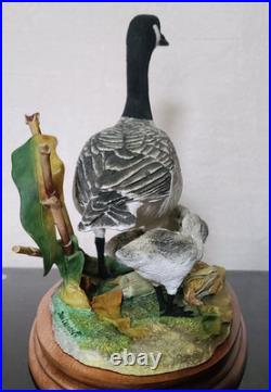 Border Fine Arts Rare Canada Goose and Goslings Limited Edition 126/500