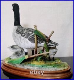 Border Fine Arts Rare Canada Goose and Goslings Limited Edition 126/500