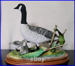 Border Fine Arts Rare Canada Goose and Goslings Limited Edition 126/500