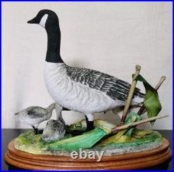 Border Fine Arts Rare Canada Goose and Goslings Limited Edition 126/500