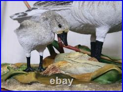 Border Fine Arts Rare Canada Goose and Goslings Limited Edition 126/500