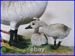 Border Fine Arts Rare Canada Goose and Goslings Limited Edition 126/500