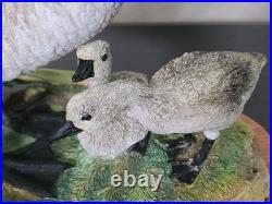 Border Fine Arts Rare Canada Goose and Goslings Limited Edition 126/500