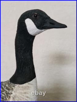 Border Fine Arts Rare Canada Goose and Goslings Limited Edition 126/500