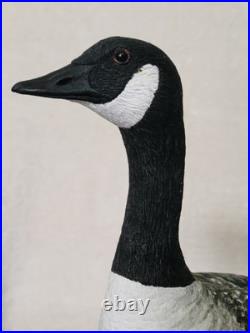 Border Fine Arts Rare Canada Goose and Goslings Limited Edition 126/500