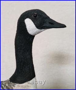 Border Fine Arts Rare Canada Goose and Goslings Limited Edition 126/500