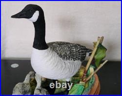 Border Fine Arts Rare Canada Goose and Goslings Limited Edition 126/500