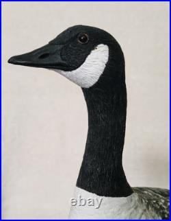 Border Fine Arts Rare Canada Goose and Goslings Limited Edition 126/500