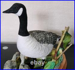 Border Fine Arts Rare Canada Goose and Goslings Limited Edition 126/500