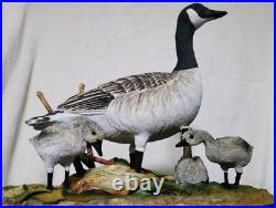 Border Fine Arts Rare Canada Goose and Goslings Limited Edition 126/500