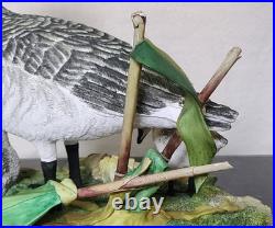 Border Fine Arts Rare Canada Goose and Goslings Limited Edition 126/500