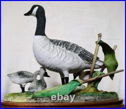 Border Fine Arts Rare Canada Goose and Goslings Limited Edition 126/500