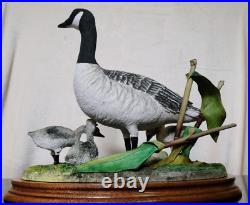 Border Fine Arts Rare Canada Goose and Goslings Limited Edition 126/500