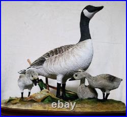 Border Fine Arts Rare Canada Goose and Goslings Limited Edition 126/500