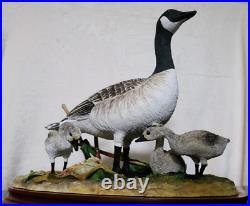 Border Fine Arts Rare Canada Goose and Goslings Limited Edition 126/500