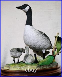 Border Fine Arts Rare Canada Goose and Goslings Limited Edition 126/500