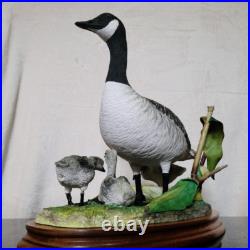 Border Fine Arts Rare Canada Goose and Goslings Limited Edition 126/500