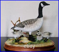 Border Fine Arts Rare Canada Goose and Goslings Limited Edition 126/500