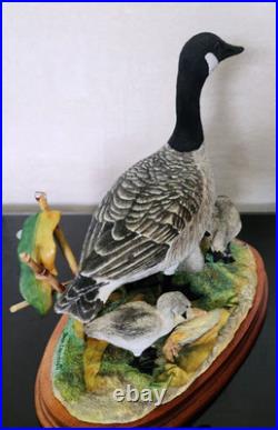 Border Fine Arts Rare Canada Goose and Goslings Limited Edition 126/500