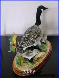 Border Fine Arts Rare Canada Goose and Goslings Limited Edition 126/500