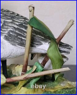 Border Fine Arts Rare Canada Goose and Goslings Limited Edition 126/500