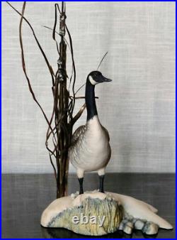 Border Fine Arts Rare Canada Goose model No. L47 Limited Edition 484/950 Border Fine Arts Rare Canada Goose model No. L47 Limited Edition 484/950